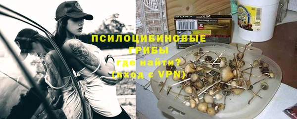 тгк Алексин