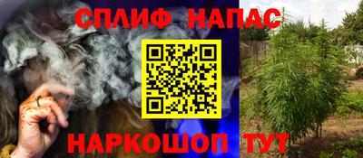ГАЛЛЮЦИНОГЕННЫЕ ГРИБЫ Дубна
