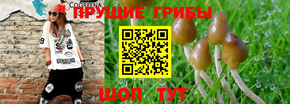 Галлюциногенные грибы прущие грибы  Вход с VPN  Спасск-Дальний 